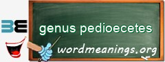 WordMeaning blackboard for genus pedioecetes
